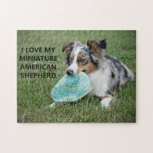Puzzle I Love My Blue Merle Miniature American Shepherd