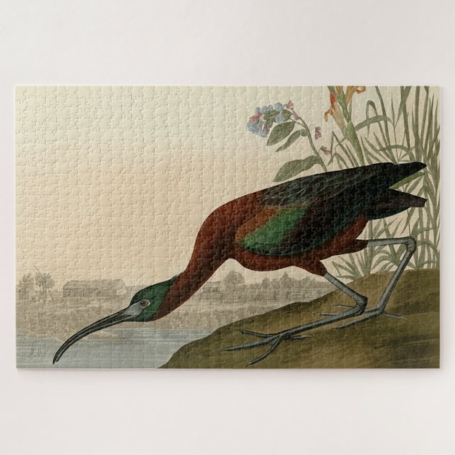 Puzzle Ibis glacé - Audubon's Birds of America (Horizontal)