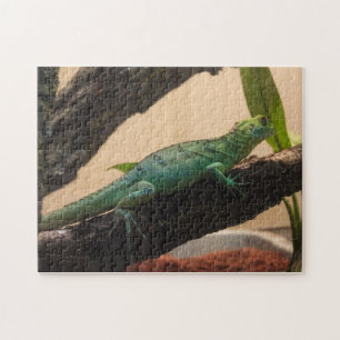 Puzzle Iguana