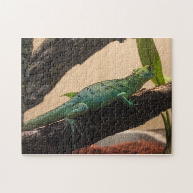 Puzzle Iguana (Horizontal)