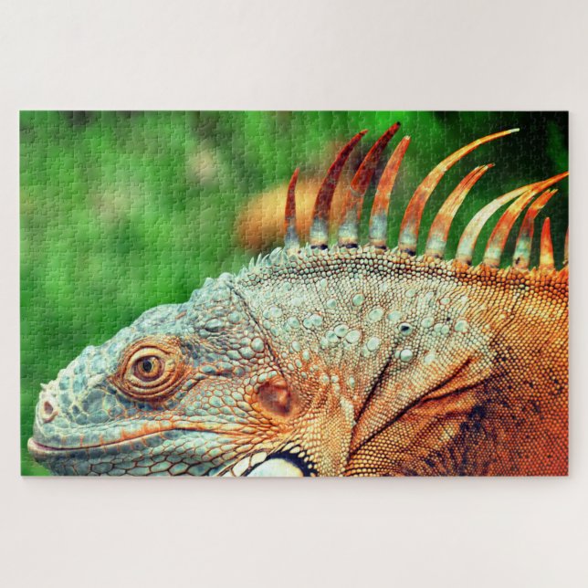 Puzzle Iguana (Horizontal)