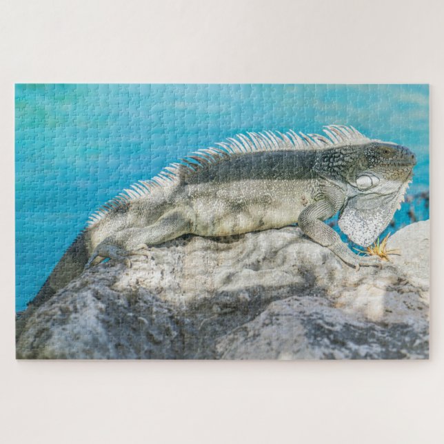 Puzzle Iguana bronzer sur Beach Rock (Horizontal)