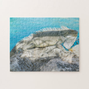 Puzzle Iguana bronzer sur Beach Rock