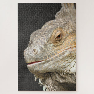 Puzzle iguane