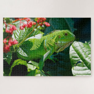 Puzzle Iguane