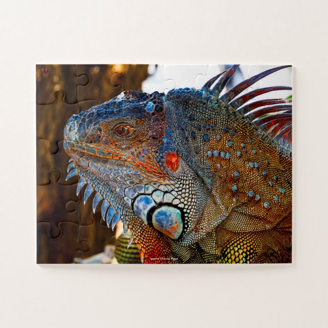 Puzzle Iguane des Keys de Floride (Horizontal)