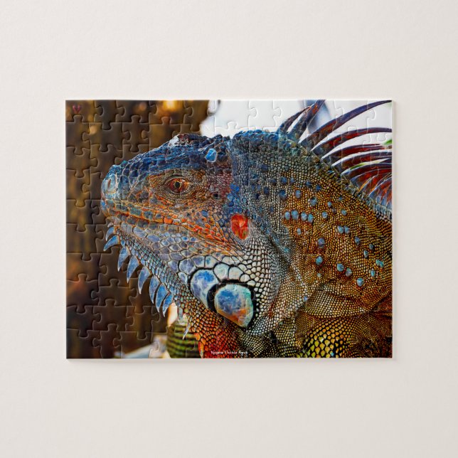 Puzzle Iguane Keys de Floride (Horizontal)