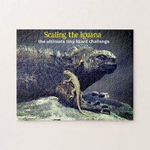 Puzzle Iguane marin et lézard des lava
