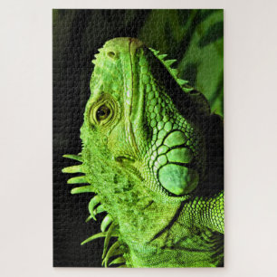 Puzzle Iguane vert
