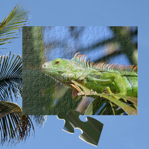Puzzle Iguane vert dans un palmier photographique