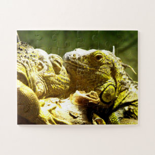 Puzzle Iguanes