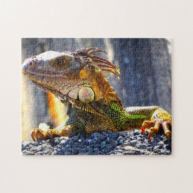 Puzzle Iguanes en Floride (Horizontal)