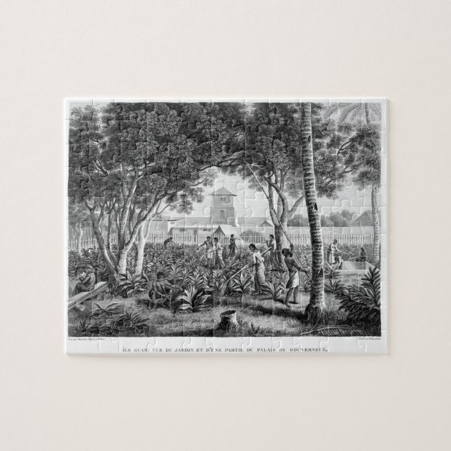 Puzzle Île de la Guam : Indigènes au travail dans le (Horizontal)