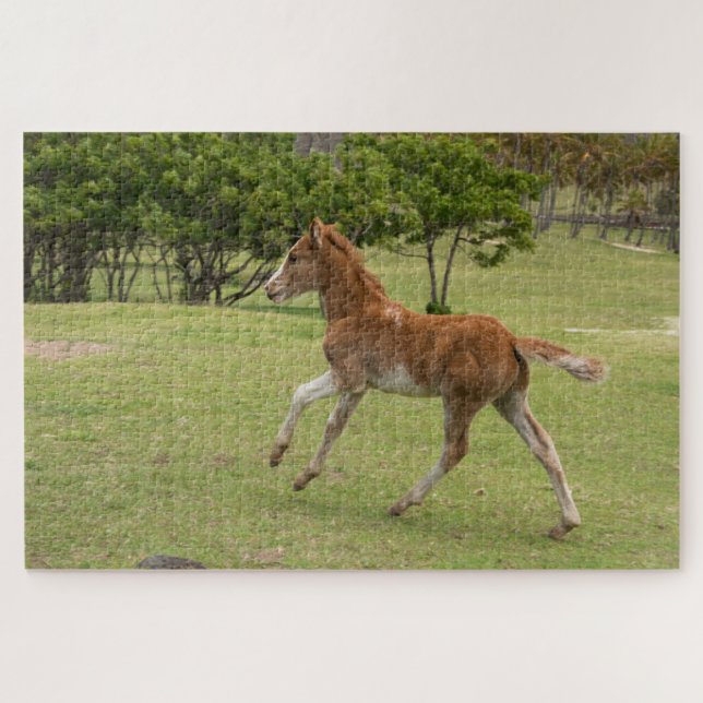 Puzzle Île de Pâques alias Rapa Nui (Horizontal)