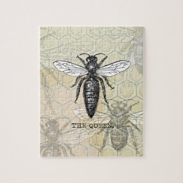 Puzzle Illustration Antique d'Insecte de Bourdon Reine Ab (Vertical)
