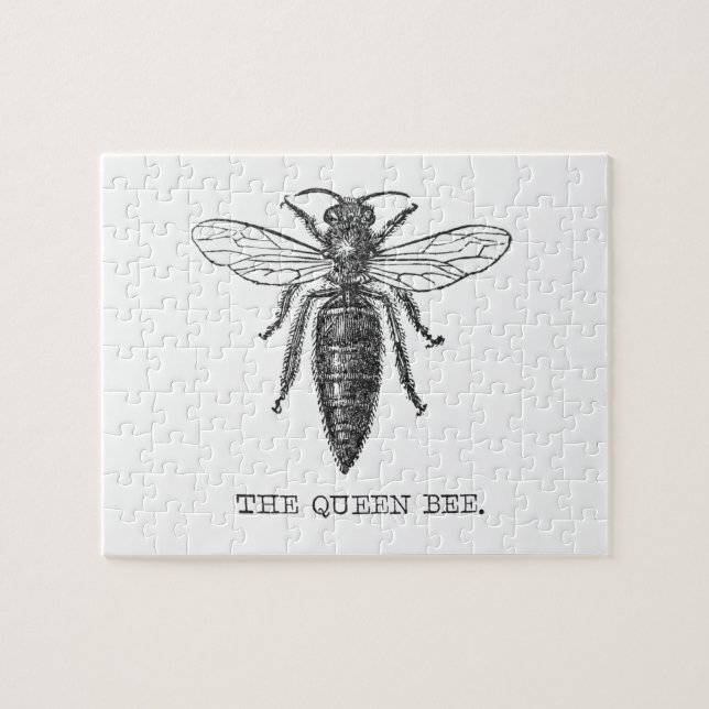 Puzzle Illustration Antique d'Insecte de Bourdon Reine Ab (Horizontal)