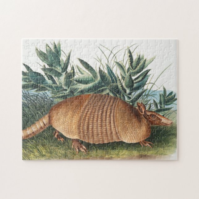 Puzzle Illustration d'Armadillo (Dasypus Peba) à neuf ban (Horizontal)