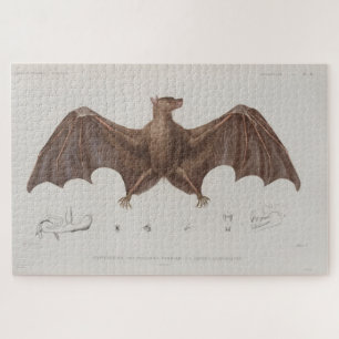 Puzzle Illustration de chaume vintage (1835)