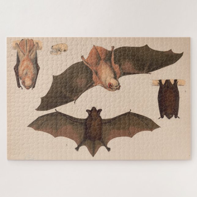 Puzzle Illustration de chauve-souris volante vintage (187 (Horizontal)