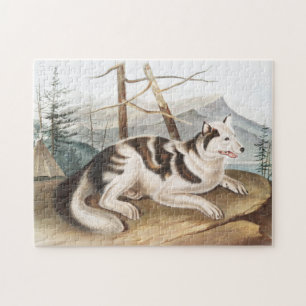 Puzzle Illustration de Chien indien lièvre (Canis familia