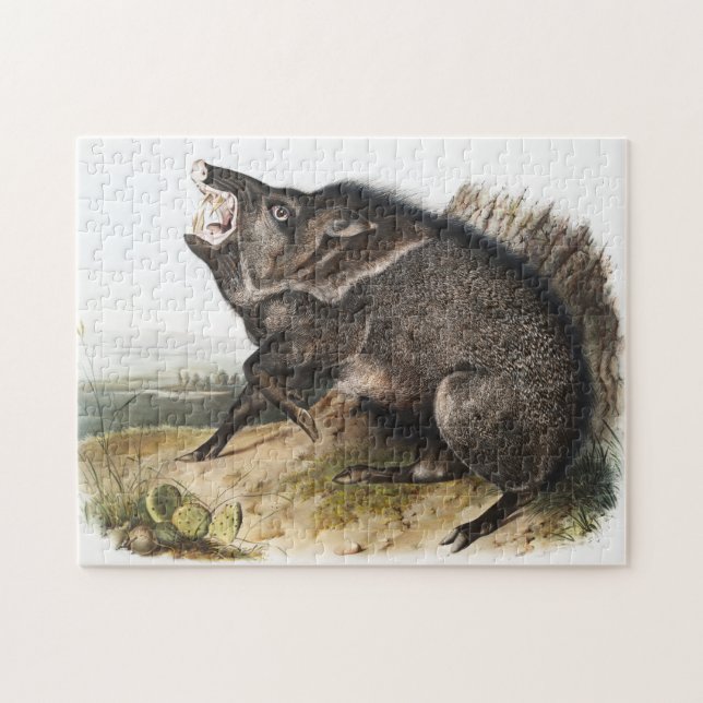 Puzzle Illustration de Dycoteles torquatus de Peccaire à  (Horizontal)