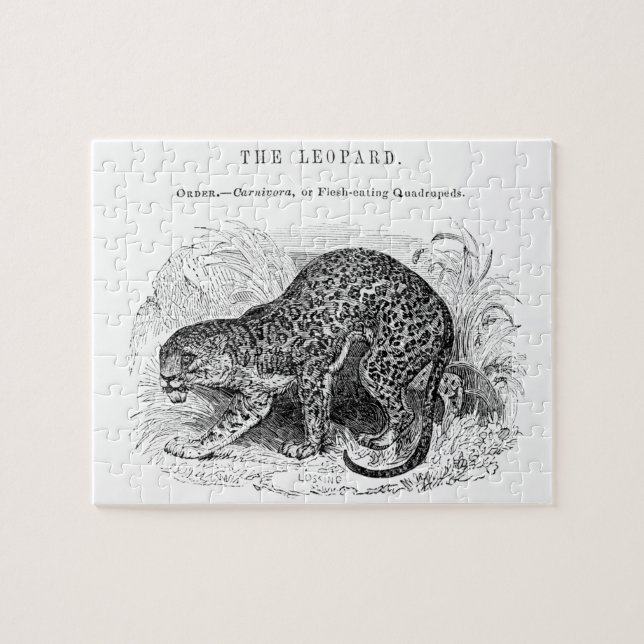 Puzzle Illustration de faune léopard vintage (Horizontal)