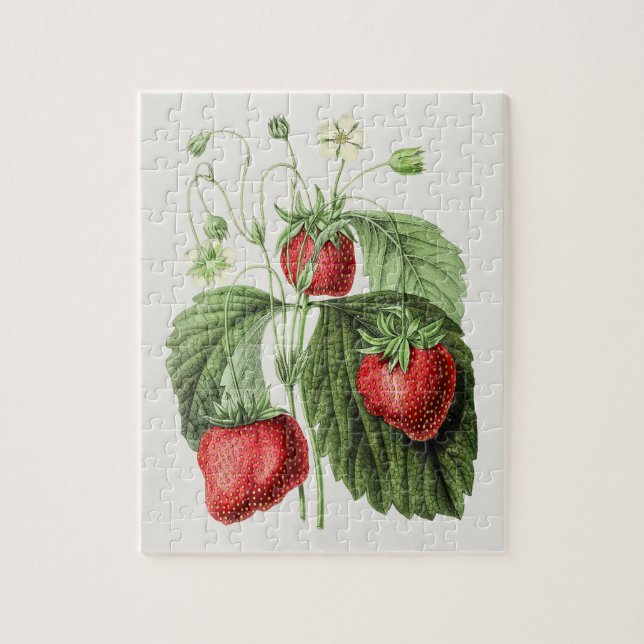 Puzzle Illustration de fraise vintage (Vertical)