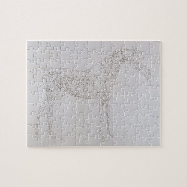 Puzzle Illustration de George Stubbs | 'de l'anatomie de (Horizontal)