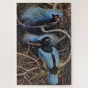 Puzzle Illustration de Johnston Vintage Blue Bird Paradis