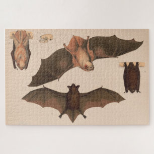 Puzzle Illustration de la chauve-souris volante Vintage (