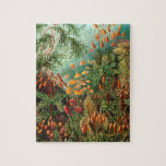 Puzzle Illustration de la nature décorative Plante vintag<br><div class="desc">Illustration décorative vintage de plantes et mousses.</div>