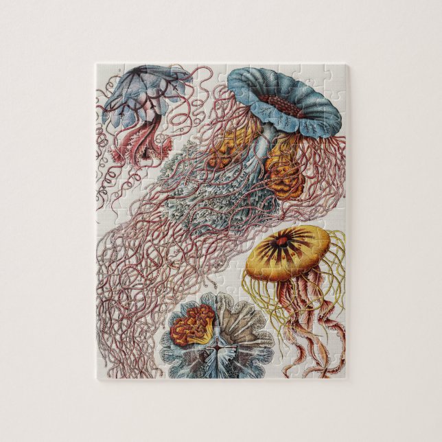 Puzzle Illustration de la vie marine - Ernst Haeckel (Vertical)