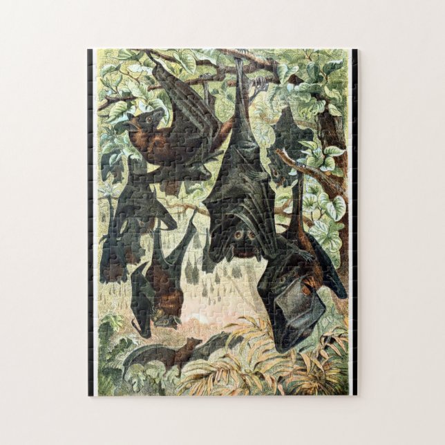 Puzzle illustration de l'acadamia de chauve-souris volant (Vertical)