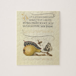 Puzzle Illustration de l'insecte du fruit du papillon