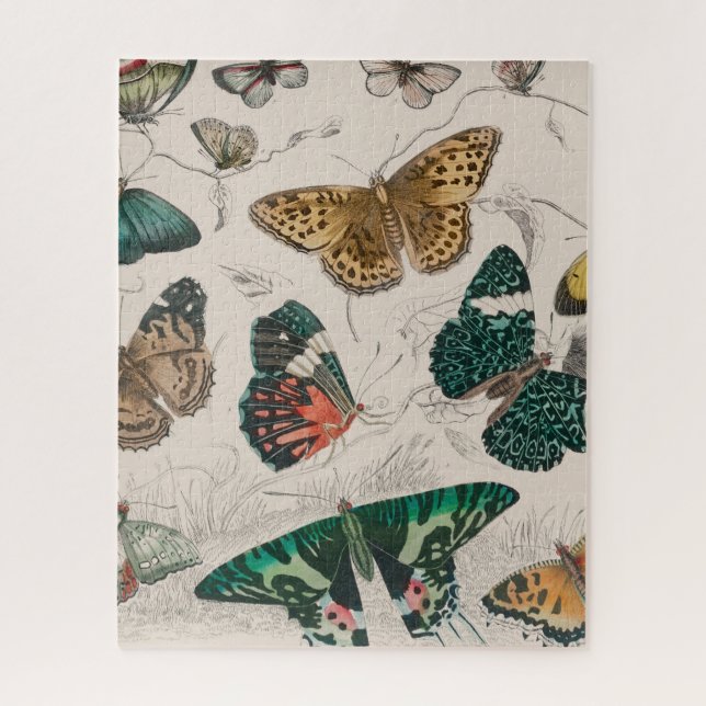 Puzzle Illustration de papillon antique : 1820 Orfèvre (Vertical)