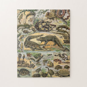 Puzzle Illustration De Reptiles Par Adolphe Millot