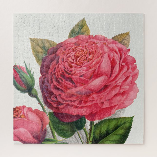 Puzzle Illustration de rose rose vintage (Vertical)