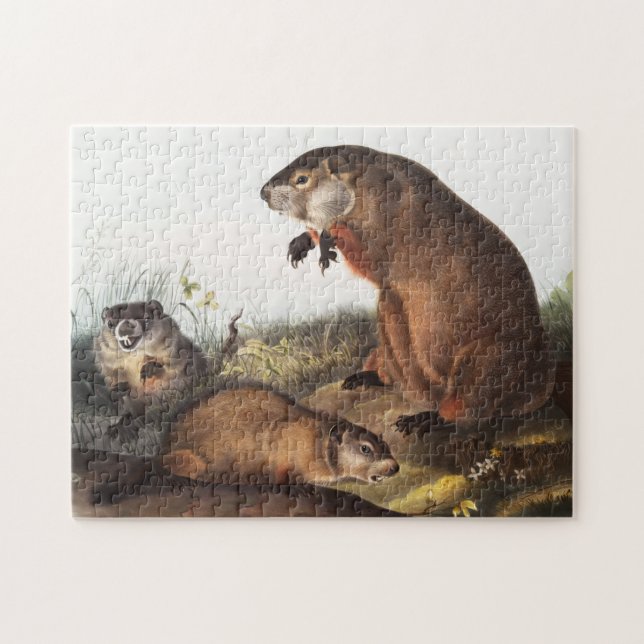 Puzzle Illustration de Woodchuck (Arctomys monax) (Horizontal)
