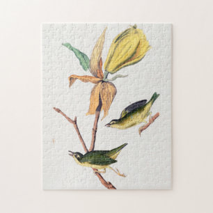 Puzzle Illustration des oiseaux de Paruline capturant des