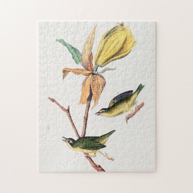 Puzzle Illustration des oiseaux de Paruline capturant des (Vertical)