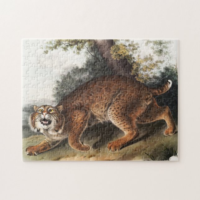 Puzzle Illustration du chat sauvage américain (Lynx rufus (Horizontal)