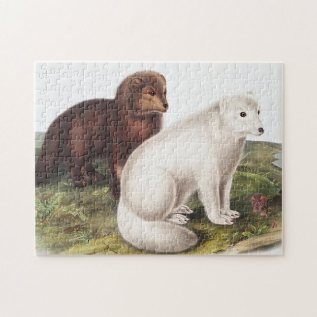 Puzzle Illustration du renard arctique (Vulpes lagopus) (Horizontal)
