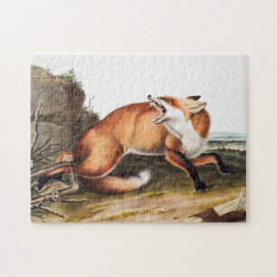 Puzzle Illustration du Renard rouge américain (Vulpes Ful