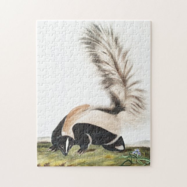Puzzle Illustration LargeTail Skunk Mephitis macroura (Vertical)