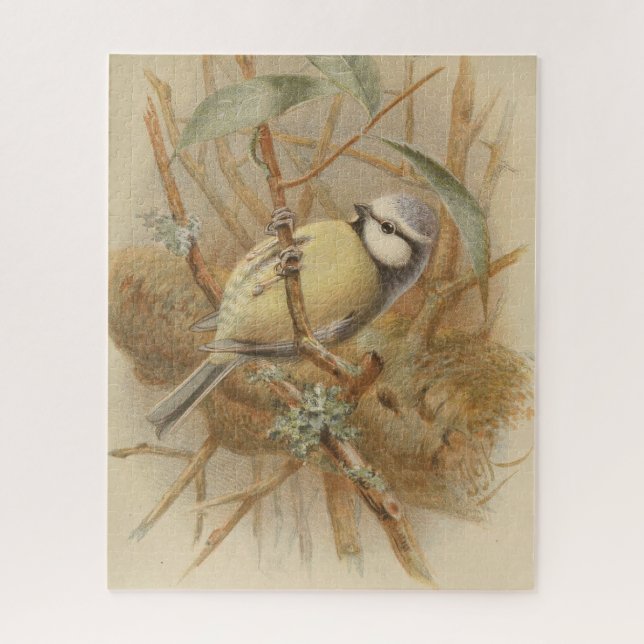 Puzzle Illustration vintage de Bluetit (Vertical)