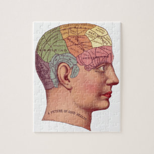 Puzzle Illustration vintage de fonction de cerveau