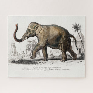 Puzzle Illustration vintage des éléphants asiatiques de 1