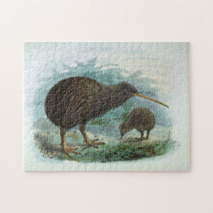 Puzzle Illustration vintage d'oiseau d'île de kiwi du