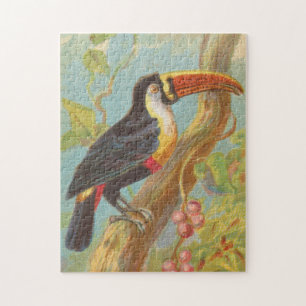 Puzzle Illustration Vintage d'un Toucan (1889)