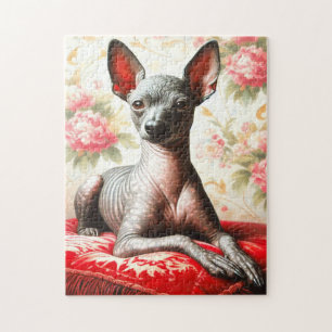 Puzzle Illustration vintage Xoloitzcuintle